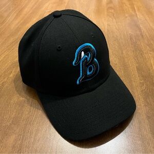 Beloit Sky Carp MiLB adjustable New Era cap